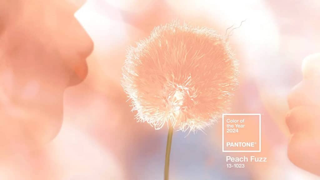 斐品整合行銷公關顧問有限公司｜2024 PANTONE年度代表色「柔和桃」，配色攻略讓設計靈感MAX!