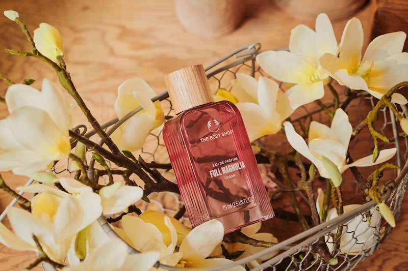 斐品整合行銷公關客戶｜The Body Shop 美體小舖/美雅國際